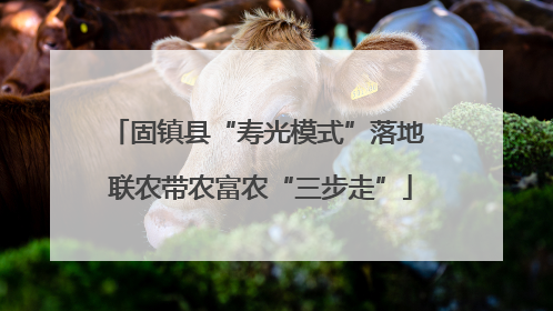 固镇县“寿光模式”落地 联农带农富农“三步走”