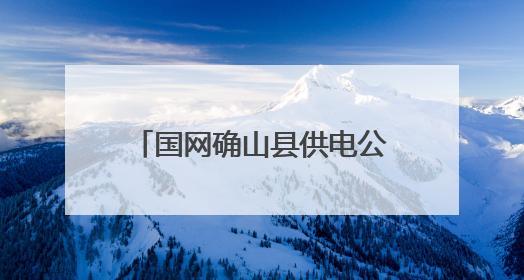 国网确山县供电公司：“粽”情“粽”意 安康常驻端午