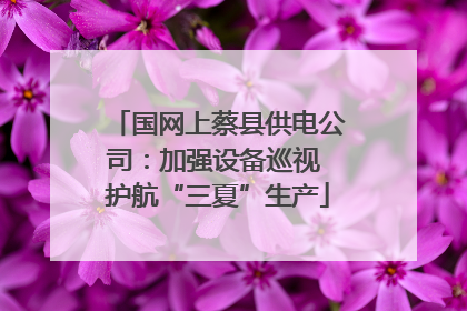 国网上蔡县供电公司：加强设备巡视 护航“三夏”生产