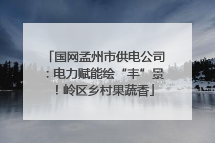 国网孟州市供电公司：电力赋能绘“丰”景！岭区乡村果蔬香