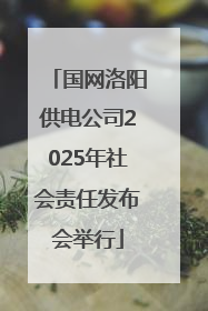 国网洛阳供电公司2025年社会责任发布会举行