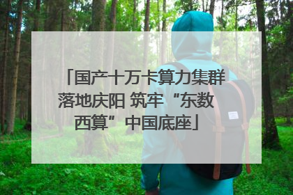 国产十万卡算力集群落地庆阳 筑牢“东数西算”中国底座
