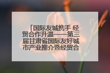 国际友城携手 经贸合作升温——第三届甘肃省国际友好城市产业推介暨经贸合作对接活动特写