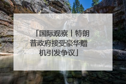 国际观察丨特朗普政府接受豪华赠机引发争议