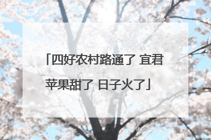 四好农村路通了 宜君苹果甜了 日子火了