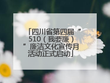 四川省第四届“510（我要廉）”廉洁文化宣传月活动正式启动
