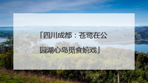 四川成都：苍鹭在公园湖心岛觅食嬉戏