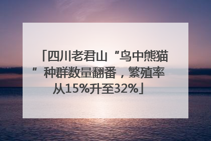 四川老君山“鸟中熊猫”种群数量翻番，繁殖率从15%升至32%