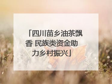 四川苗乡油茶飘香 民族类资金助力乡村振兴