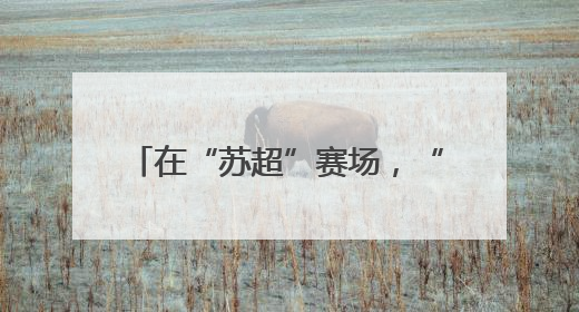 在“苏超”赛场，“草根”永远有机会