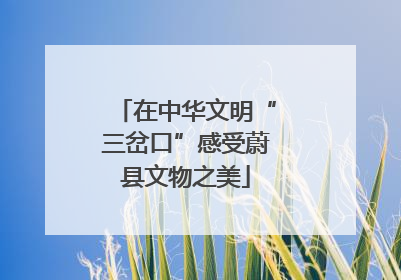 在中华文明“三岔口”感受蔚县文物之美