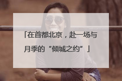 在首都北京，赴一场与月季的“倾城之约”