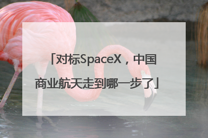 对标SpaceX，中国商业航天走到哪一步了