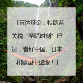 富达基金：特朗普关税“至暗时刻”已过，看好中国、日本和德国中型股！