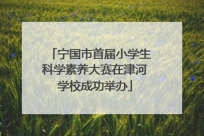 宁国市首届小学生科学素养大赛在津河学校成功举办
