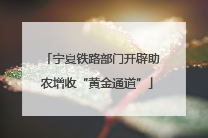 宁夏铁路部门开辟助农增收“黄金通道”