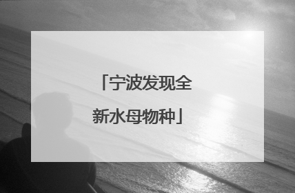 宁波发现全新水母物种