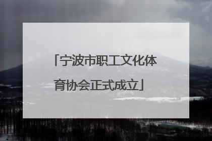 宁波市职工文化体育协会正式成立