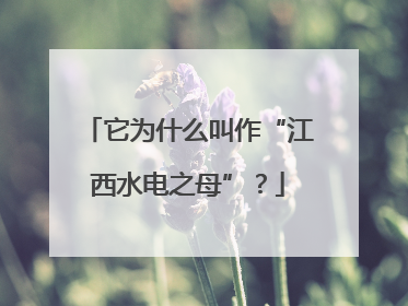 它为什么叫作“江西水电之母”？