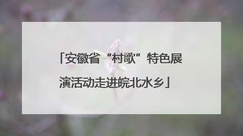 安徽省“村歌”特色展演活动走进皖北水乡