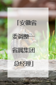 安徽省委调整一省属集团总经理