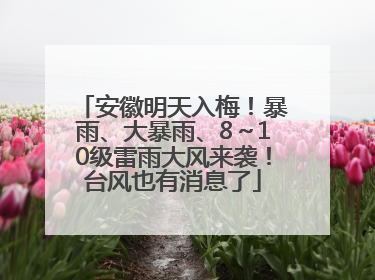 安徽明天入梅！暴雨、大暴雨、8～10级雷雨大风来袭！台风也有消息了