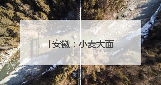 安徽：小麦大面积收获期在5月26日至6月上旬