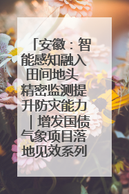 安徽：智能感知融入田间地头 精密监测提升防灾能力｜增发国债气象项目落地见效系列报道