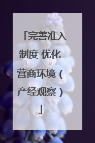完善准入制度 优化营商环境（产经观察）