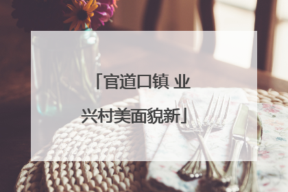 官道口镇 业兴村美面貌新