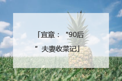 宜章：“90后”夫妻收菜记