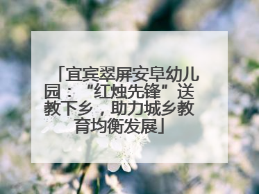 宜宾翠屏安阜幼儿园：“红烛先锋”送教下乡，助力城乡教育均衡发展