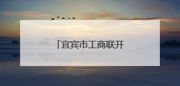 宜宾市工商联开展“民营企业大走访”调研月活动