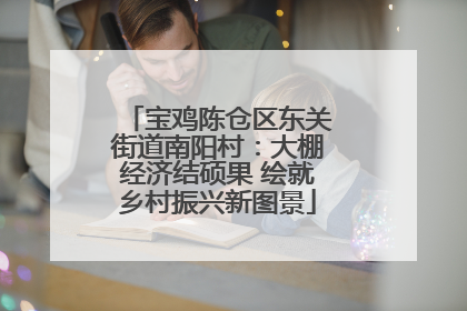 宝鸡陈仓区东关街道南阳村：大棚经济结硕果 绘就乡村振兴新图景