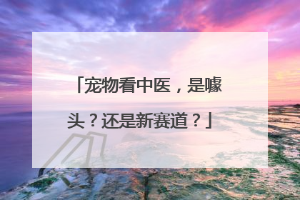 宠物看中医，是噱头？还是新赛道？