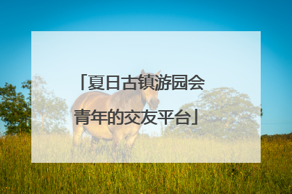 夏日古镇游园会 青年的交友平台
