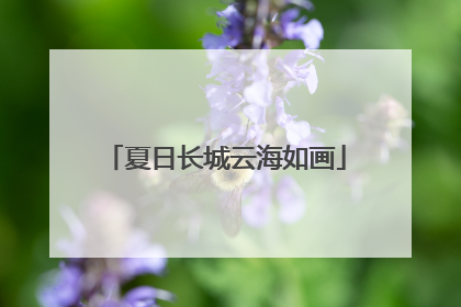 夏日长城云海如画