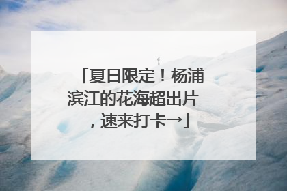 夏日限定！杨浦滨江的花海超出片，速来打卡→