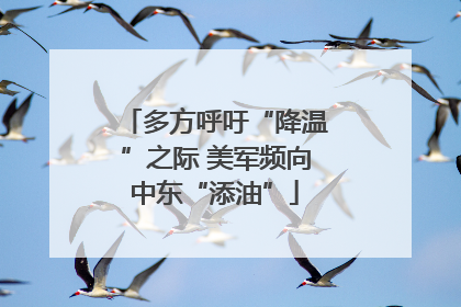 多方呼吁“降温”之际 美军频向中东“添油”