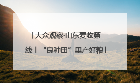大众观察·山东麦收第一线丨“良种田”里产好粮
