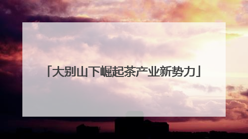 大别山下崛起茶产业新势力