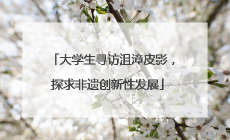 大学生寻访沮漳皮影，探求非遗创新性发展