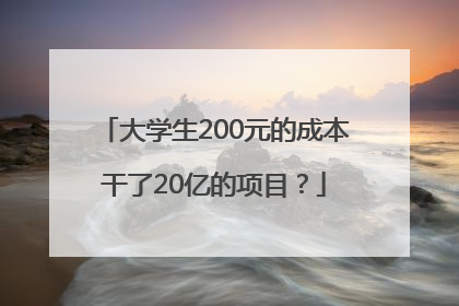 大学生200元的成本干了20亿的项目？