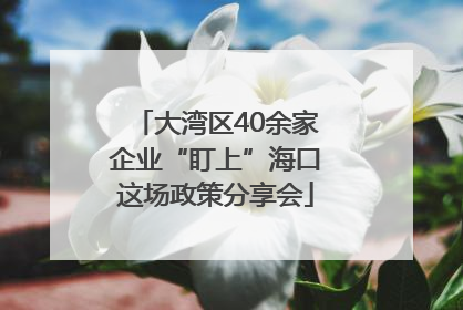 大湾区40余家企业“盯上”海口这场政策分享会