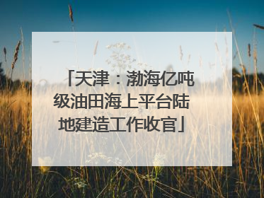 天津：渤海亿吨级油田海上平台陆地建造工作收官