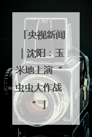 央视新闻｜沈阳：玉米地上演“虫虫大作战”