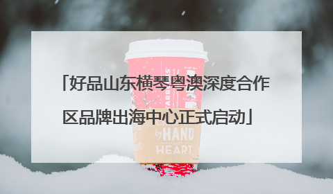 好品山东横琴粤澳深度合作区品牌出海中心正式启动