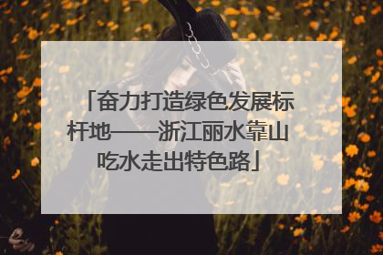 奋力打造绿色发展标杆地——浙江丽水靠山吃水走出特色路