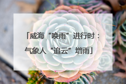 威海“唤雨”进行时：气象人“追云”增雨