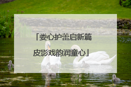 娄心护蕾启新篇 皮影戏韵润童心